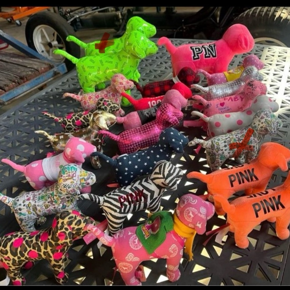 21 pink dog bundle🟣🟣🟣